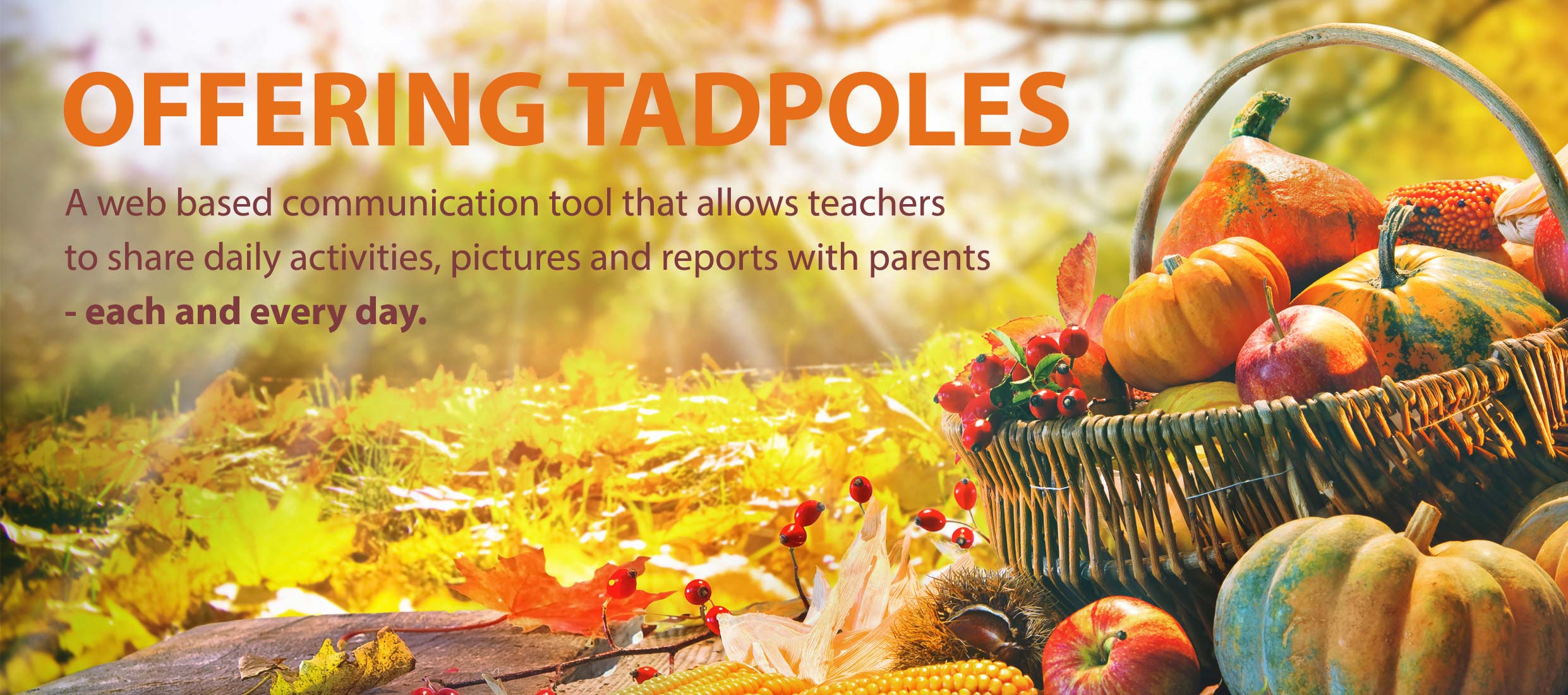 OFFERING TADPOLES : A web based communication tool that allows teachers to share daily activities, pictures and reports with parents - each and every day.